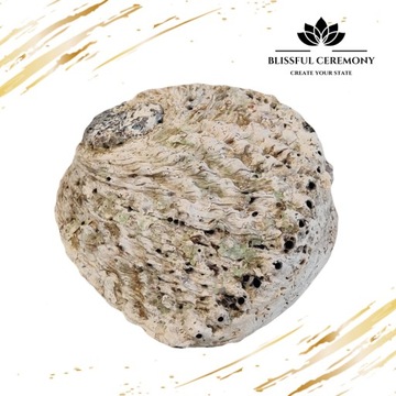 Подставка для благовоний Ароматическая палочка для морского ушка Пало Санто, размер M