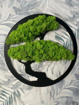 DRZEWO ŻYCIA BONSAI mech CHROBOTEK 40cm