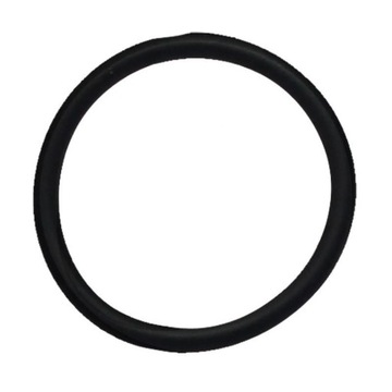 Oring Fiat Ford 14457880 9672549 CNH
