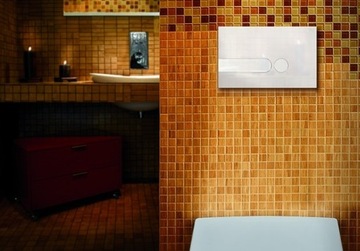 Przycisk wc spłukujący OLI IPLATE do KOŁO SLIM