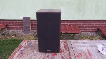 Колонка Sharp CP-101HP 50 Вт, большая