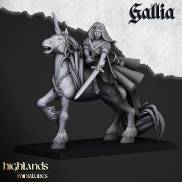 Lady of Gallia - Minifaktura - KoE - Druk 3D