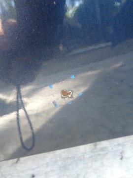 КАПОТ, КРЫШКА ДВИГАТЕЛЯ KIA CARENS III 3 06-12