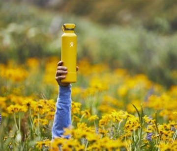 Термобутылка Hydro Flask 709 мл, стандартная