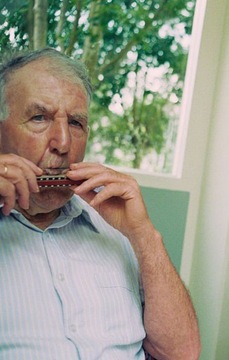 Metal Harmonica Diotnic Harmonics для начинающих с случаем