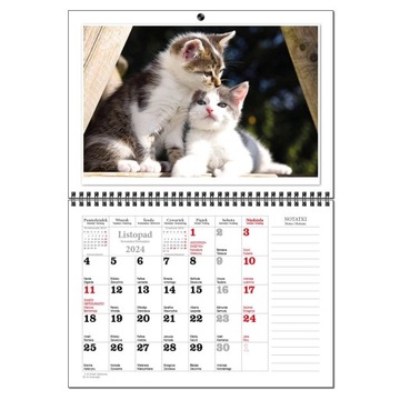Календарь 2024 настенный планировщик А3 13 досок CATS