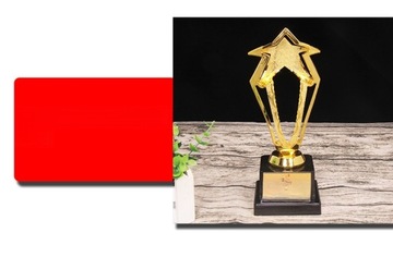 NAGRODA TROFEUM NAGRODA GRY TROFEUM WYSIŁKU TROFEUM ZŁOTEJ GWIAZDY TROFEUM
