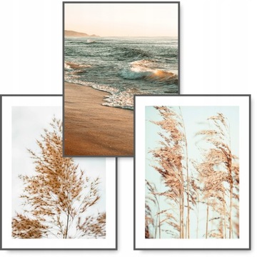 BOHO zestaw 3 obrazy B2 50x70 NATURA plakat #15