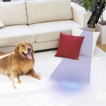 УФ ФОНАРИК ДЛЯ ЯНТАРНОЙ БАНКНОТЫ КОНДИЦИОНЕР УЛЬТРАФИОЛЕТОВЫЙ ЗУМ + БЕСПЛАТНО