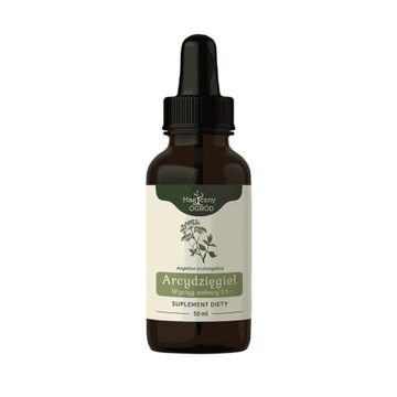 Arcydzięgiel nalewka 1:1 50ml Magiczny Ogród