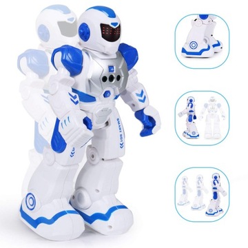 ПРОГРАММИРУЕМЫЙ ИНТЕРАКТИВНЫЙ РОБОТ С ДИСТАНЦИОННЫМ УПРАВЛЕНИЕМ