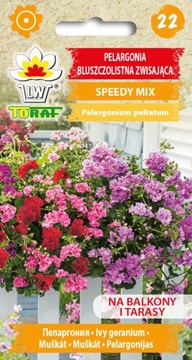 PELARGONIA BLUSZCZOLISTNA ZWISAJĄCA SPEEDY HYBRIS