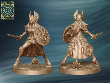 Valkyrie 5 - Валькирия - Модели лабиринтов