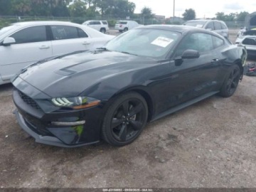 Ford Mustang VI 2022 Ford Mustang Ecoboost Fastback 2022 2.3l 2.3 Benzyna 310KM, zdjęcie 1
