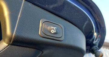 Ford Focus IV 2025 Ford Focus Full LED matrycowe, BLIS, fotele AGR, tempomat adaptacyjny 155KM, zdjęcie 16