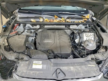 Audi Q5 II 2024 Audi Q5 Premium Plus 45 2024 2.0l 2.0 Benzyna 261KM, zdjęcie 11