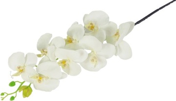 STORCZYK ORCHIDEA GAŁĄZKA 8 KWIATÓW 104cm kwiat