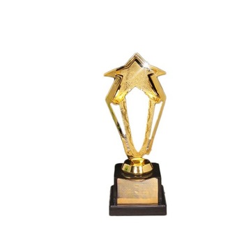 NAGRODA TROFEUM NAGRODA GRY TROFEUM WYSIŁKU TROFEUM ZŁOTEJ GWIAZDY TROFEUM