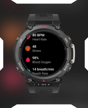 Умные часы Amazfit T-Rex 2 Wild Green