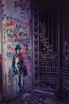 Фуджифильм Этерна 500 36эксп.