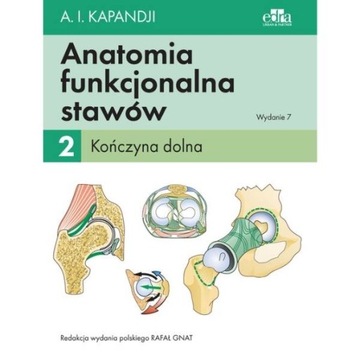 Anatomia Funkcjonalna Stawów TOM 2 Kończyna DOLNA