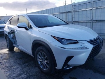 Lexus NX II 2021 Lexus NX 2021 LEXUS NX 300 BASE 2.0 Benzyna 235KM, zdjęcie 2