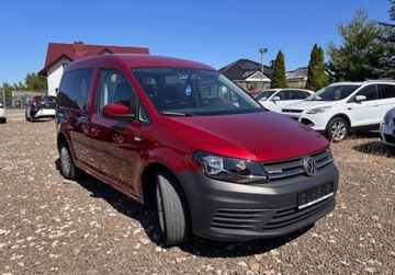 Volkswagen Caddy IV Kombi Maxi 1.4 TSI BlueMotion Technology 125KM 2016 Volkswagen Caddy 1.4BLPG przeb.124tys udokumentowany ksiazka jak novy, zdjęcie 4