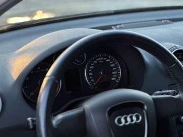 Audi A3 8P Hatchback 3d 1.4 TFSI 125KM 2009 Audi A3 Sportback 1.4 TFSI Ambition 125KM 2009r, zdjęcie 19