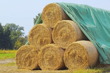 FLIZ DO SŁOMY SIANA DRZEWA ZBOŻA 9,8 x 6 m 140 g
