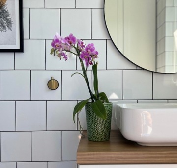 Osłonka Doniczka Ceramiczna Orchid 13x15 cm biała