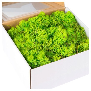 MECH chrobotek naturalny ozdobny TRAWIASTY reniferowy do stroików 200g mech