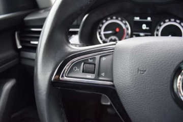 Skoda Scala Hatchback 1.6 TDI 115KM 2019 Skoda Scala SalonPL 115KM TDI AmbitionComfort LED ASO Dealer FV 23 1.6, zdjęcie 12