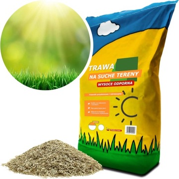TRAWA NA TERENY SUCHE ODPORNA NA SUSZĘ 10KG 400M2