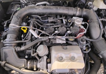 Ford Ecosport II 2022 Ford EcoSport 2022r, 1.0 Benzyna. Uszkodzony lewy przod. Poobijany. Jezdzi., zdjęcie 18