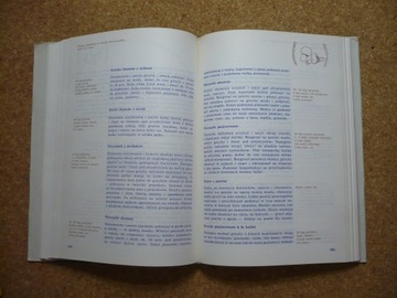 НОВАЯ СИЛЕЗСКАЯ КУХНЯ