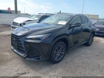 Lexus NX II 2026 Lexus NX 350 2026 2.4 Benzyna 275KM, zdjęcie 1