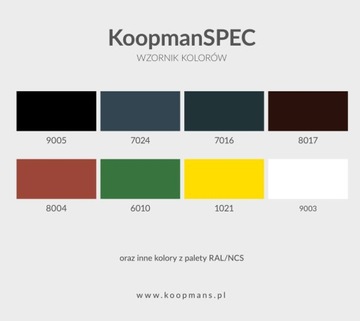 KoopmanSPEC 0,25л - Многозадачный продукт