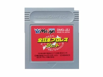 Zen-Nippon Pro Wrestling - Japońska