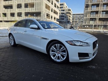 Jaguar XF II Sedan 3.0 V6 340KM 2017 JAGUAR XF V6 3.0l benzyna 340KM Bezwypadkowy Pedantycznie zadbany