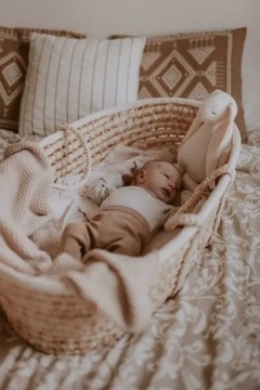 Корзина Моисей с матрасом для кроватки Baby Ahoy