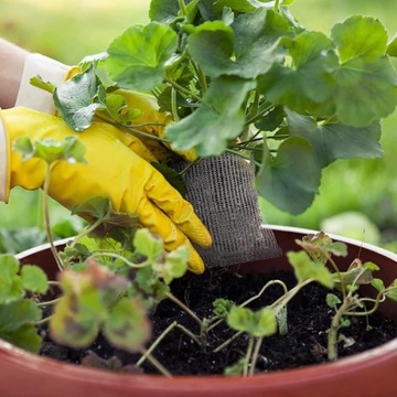 4X МЕТАЛЛИЧЕСКАЯ СЕТОЧНАЯ КОРЗИНА ДЛЯ КОРНЕЙ РАСТЕНИЙ ОТ КРОТОВ И ПОЛЕВОК