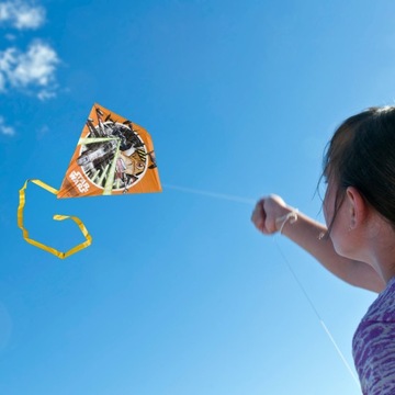 РАЗНОЦВЕТНЫЙ ДЕТСКИЙ КАЙТ ЗВЕЗДНЫЕ ВОЙНЫ С ХВОСТОМ С ЛЕСНОЙ + РУЧКОЙ