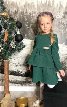 СЕССИЯ РОЖДЕСТВЕНСКИХ ПЛАТЬЕВ ПОЛЬСКИЙ ПРОИЗВОДИТЕЛЬ 134