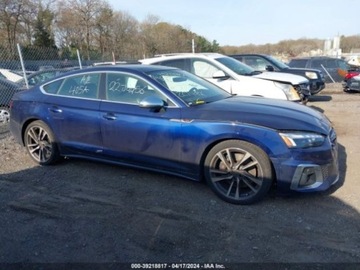 Audi A5 F5 2022 Audi S5 Coupe Sportback Premium Plus 2022 3.0l 3.0 Benzyna 349KM, zdjęcie 1