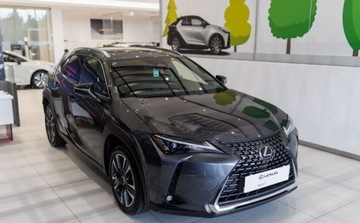 Lexus UX 2024 Lexus UX 300h Business 2.0 Hybryda 152KM, zdjęcie 2