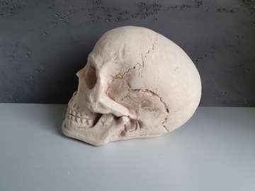 Череп Голова Хэллоуин БОЛЬШОЙ 20 см XXXL