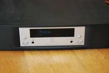 Линн Маджик DS/1 игрок