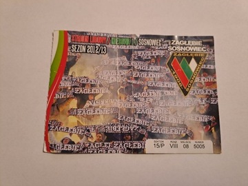 ZAGŁĘBIE SOSNOWIE 2012/2013