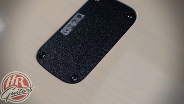 Taylor SB1-X Solidbody Classic, США, 2007 г.