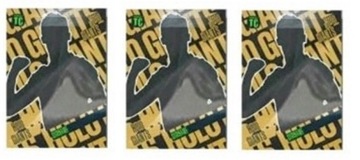 Panini ALBUM NA KARTY PIŁKARSKIE TOP CLASS 2023 MEGA Zestaw SASZETKI HOLO